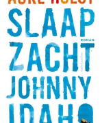 Boekanalyse Slaap zacht, Johnny Idaho; Auke Hulst