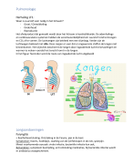 Samenvatting Lichamelijk Functioneren 4 Thema 1 Interne Geneeskunde Pulmonologie 