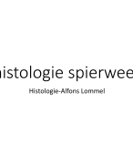 Histologie van het spierweefsel 