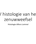 Histologie van het zenuwstelsel