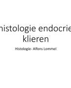 Histologie van de endocriene klieren 