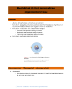 Samenvatting: het moleculair organisatieniveau