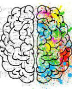 Algemene Psychologie samenvatting vives