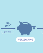 Samenvatting HAVO economie concept Risico en informatie