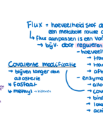 Biochemie 1 samenvatting / mindmap