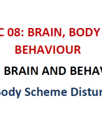 Body Scheme Disturbances Lecture Notes