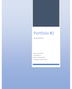 Portfolio assessment (Social Work, 2e jaar): Verslag