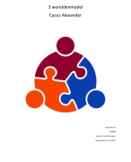 Social Work : 3 wereldenmodel met als beoordeling een 9 2021