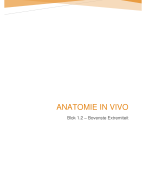 Anatomie in Vivo (blok 1.2)