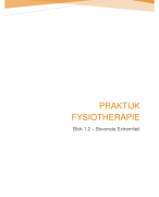 Praktijk Fysiotherapie - Onderzoek en Behandeling (blok 1.2)
