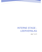 Interne Stage - Leerverslag