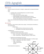 Communicatieve Vaardigheden 3: Agogiek samenvatting