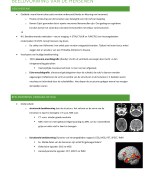 HOC 2 klinische neuropsychologie: beeldvorming van de hersenen