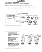 Samenvatting klieren biologie 3de middelbaar