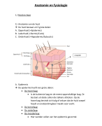 anatomie en fysiologie Huid en haar
