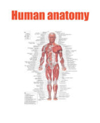 Biology notes - Human Reproduction 