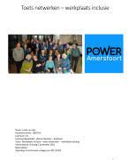 verslag netwerken en regisseren/ inclusie (sociaal werk)  