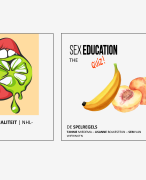 seksuele voorlichting quiz handleiding