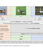 Deel 4 theorie: natuur en techniek (mens en wereld 1) 