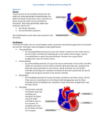 Samenvatting Elektrocardiografie (ECG)