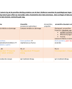 Samevatting verschillende soorten Antibiotica