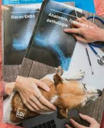 oefen kaartjes anatomie