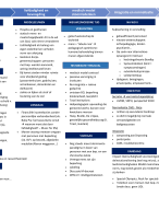 Handig overzicht paradigmas ITO 2021-2022