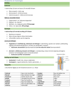 samenvatting anatomie en fysiologie (BMLT 1e jaar Hogent)