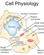 Cell Physiology and Components