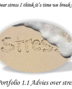 Portfolio-opdracht 1.1, Advies over stress, inclusief de beoordeling
