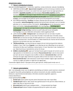 SAMENVATTING Stimuleren van de ontwikkeling (P2K1)
