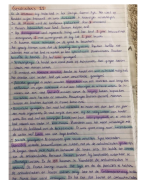 Samenvatting historische context 1: Steden en burgers in de lage landen