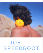 Boekverslag \'Joe Speedboot\' van Tommy Wieringa