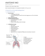 samenvatting anatomie NKO (OLOD: basiswetenschappen ivm therapeutisch handelen 2)