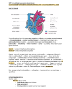 Samenvatting Circulatie en Vasculaire Stoornissen Geneeskunde VU