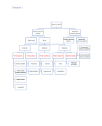 Tekeningen en schema's Neuro-anatomie