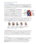 Samenvatting Nectar 4VWO & 5VWO