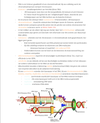 VWO - Biologie samenvatting examenstof CE