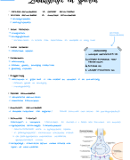 Samenvatting spieren en zenuwen Biologie