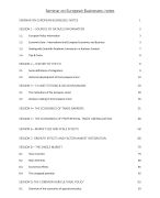 Seminar on EU businesses summary