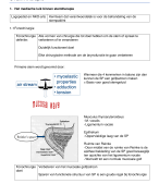 Samenvatting: Stem therapie (deel 2) / fase 2 Logopedie en audiologie 