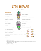 samenvatting Stem Therapie