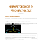 samenvatting neuropsychologie en neuropathologie