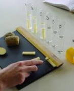 4VWO Biologie praktische opdracht Osmose