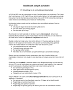 Samenvatting armoede en lokaal sociaal beleid