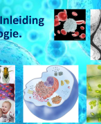 PowerPoint+ aantekeningen thema 1 Inleiding in de biologie Biologievoorjou VWO 4 Deel 1