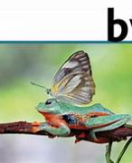 Biologie voor jou, vwo 6, thema 2: Transport