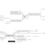 Schema's geneesmiddelen farmacologie partim 2