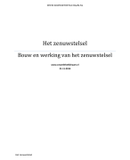 Bouw en werking van het zenuwstelsel