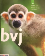 Biologie hormonen en zintuigen 5 &6 vwo 
